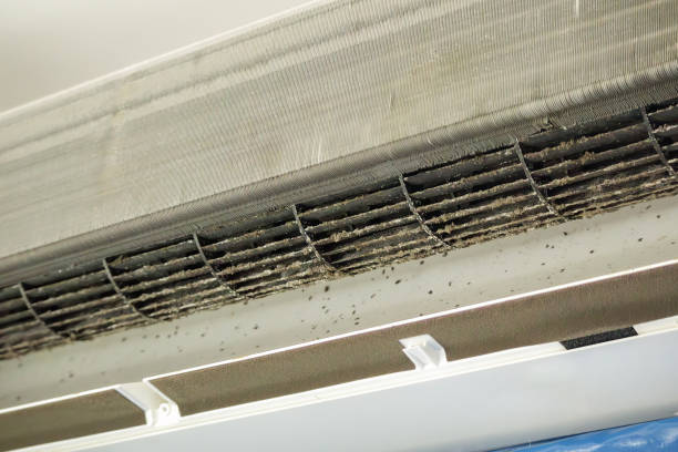 Best Best Air Duct Cleaning Company  in Ardmore, AL